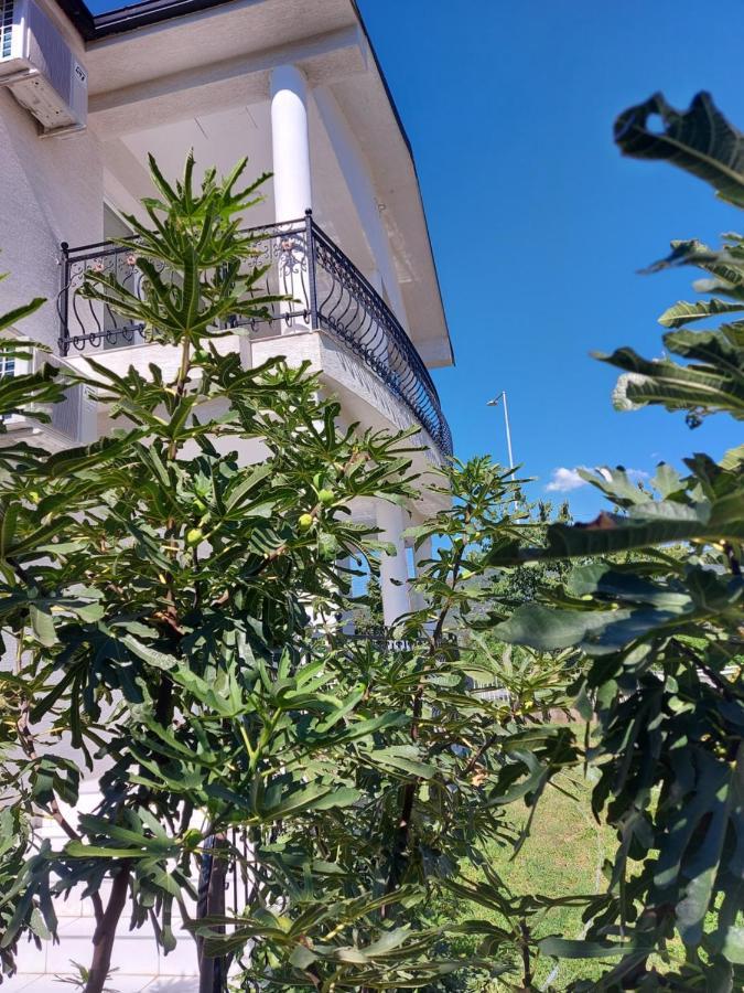 Villa Bratislava Demir Kapija Esterno foto