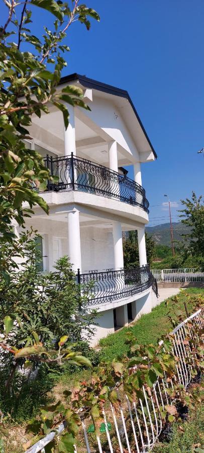Villa Bratislava Demir Kapija Esterno foto